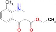 Ethyl 8-methyl-4-oxo-1,4-dihydroquinoline-3-carboxylate