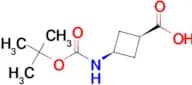cis-3-((tert-Butoxycarbonyl)amino)cyclobutanecarboxylic acid