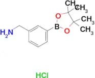 (3-(4,4,5,5-Tetramethyl-1,3,2-dioxaborolan-2-yl)phenyl)methanamine hydrochloride