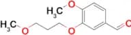 4-Methoxy-3-(3-methoxypropoxy)benzaldehyde