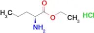 L-Norvaline ethyl ester hydrochloride