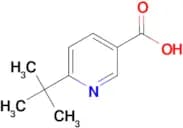 6-(tert-Butyl)nicotinic acid