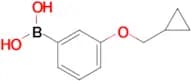(3-(Cyclopropylmethoxy)phenyl)boronic acid