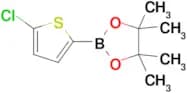 2-(5-Chlorothiophen-2-yl)-4,4,5,5-tetramethyl-1,3,2-dioxaborolane