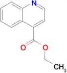 Ethyl quinoline-4-carboxylate