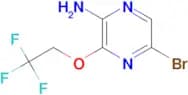 5-Bromo-3-(2,2,2-trifluoroethoxy)pyrazin-2-amine
