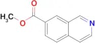 Methyl isoquinoline-7-carboxylate