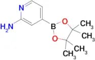 2-Aminopyridine-4-boronic acid pinacol ester