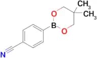 4-(5,5-Dimethyl-1,3,2-dioxaborinan-2-yl)benzonitrile