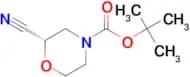 (S)-N-Boc-2-Cyanomorpholine