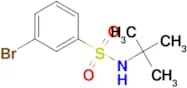 3-Bromo-N-(tert-butyl)benzenesulphonamide