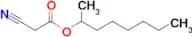 Octan-2-yl 2-cyanoacetate