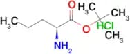 L-Norvaline t-butyl ester hydrochloride