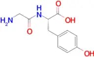 Gly-Tyr