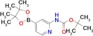 tert-Butyl (4-(4,4,5,5-tetramethyl-1,3,2-dioxaborolan-2-yl)pyridin-2-yl)carbamate