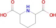 Piperidine-2,6-dicarboxylic acid