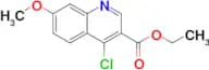 Ethyl 4-chloro-7-methoxy-3-quinolinecarboxylate
