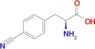 (S)-2-Amino-3-(4-cyanophenyl)propanoic acid