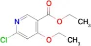 Ethyl 6-chloro-4-ethoxynicotinate