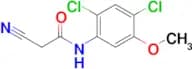 2-Cyano-N-(2,4-dichloro-5-methoxyphenyl)acetamide