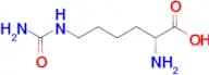 (R)-2-Amino-6-ureidohexanoic acid
