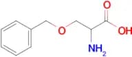 2-Amino-3-(benzyloxy)propanoic acid