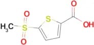 5-(Methylsulfonyl)thiophene-2-carboxylic acid