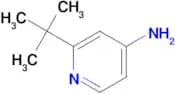 2-(tert-Butyl)pyridin-4-amine