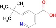 2-(tert-Butyl)isonicotinic acid