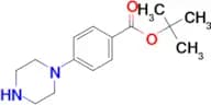 tert-Butyl 4-(piperazin-1-yl)benzoate