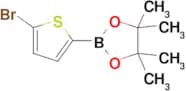 2-(5-Bromothiophen-2-yl)-4,4,5,5-tetramethyl-1,3,2-dioxaborolane