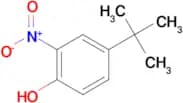 4-(tert-Butyl)-2-nitrophenol