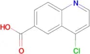 4-Chloroquinoline-6-carboxylic acid