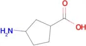 3-Aminocyclopentanecarboxylic acid