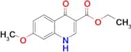 Ethyl (4-hydroxy-7-methoxy)quinoline-3-carboxylate