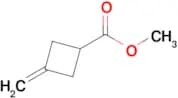 Methyl 3-methylenecyclobutanecarboxylate