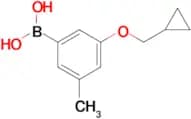 (3-(Cyclopropylmethoxy)-5-methylphenyl)boronic acid