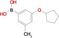 (3-(Cyclopentyloxy)-5-methylphenyl)boronic acid
