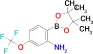 2-(4,4,5,5-Tetramethyl-1,3,2-dioxaborolan-2-yl)-5-(trifluoromethoxy)aniline