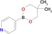 4-(5,5-Dimethyl-1,3,2-dioxaborinan-2-yl)pyridine