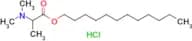 Dodecyl 2-(dimethylamino)propanoate hydrochloride