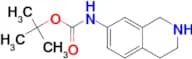 tert-Butyl 1,2,3,4-tetrahydroisoquinolin-7-ylcarbamate