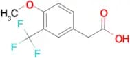 2-(4-Methoxy-3-(trifluoromethyl)phenyl)acetic acid