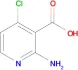 2-Amino-4-chloronicotinic acid