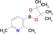 2,6-Dimethyl-3-(4,4,5,5-tetramethyl-1,3,2-dioxaborolan-2-yl)pyridine