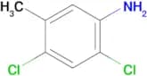 2,4-Dichloro-5-methylaniline