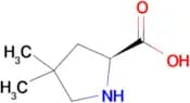(S)-4,4-Dimethylpyrrolidine-2-carboxylic acid