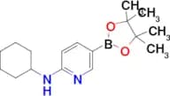 N-Cyclohexyl-5-(4,4,5,5-tetramethyl-1,3,2-dioxaborolan-2-yl)pyridin-2-amine