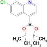 7-Chloro-4-(4,4,5,5-tetramethyl-1,3,2-dioxaborolan-2-yl)quinoline