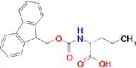 (R)-2-((((9H-Fluoren-9-yl)methoxy)carbonyl)amino)pentanoic acid